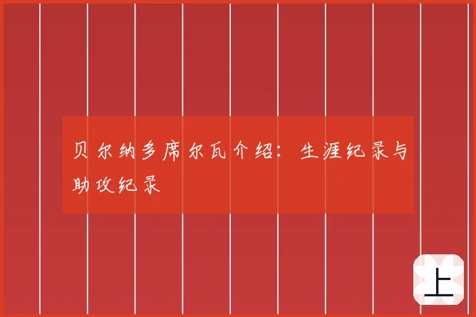 贝尔纳多席尔瓦介绍：生涯纪录与助攻纪录