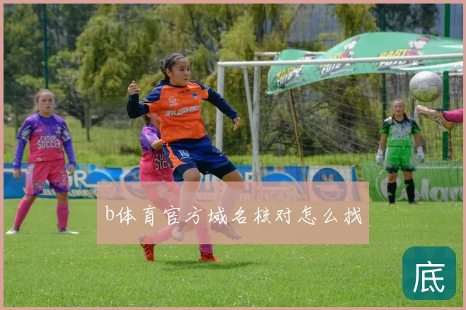 b体育官方域名核对怎么找